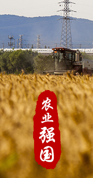 農業強國是社會主義現代化強國的根基。